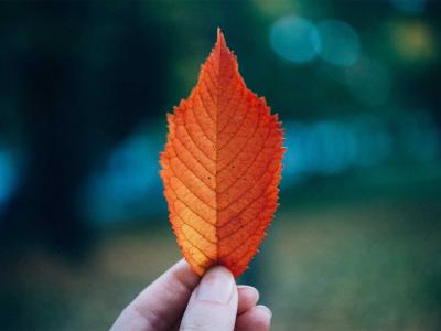 blog1
